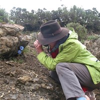 Портфолио karmaquest